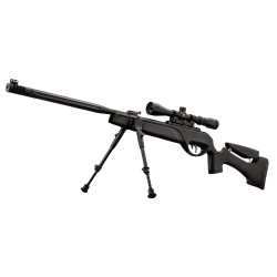 CARABINE GAMO HPA IGT CAL/4.5MM 19.9J + LUNETTE 3-9 x 40 WR + BIPIED
