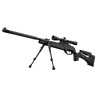 CARABINE GAMO HPA IGT CAL/4.5MM 19.9J + LUNETTE 3-9 x 40 WR + BIPIED