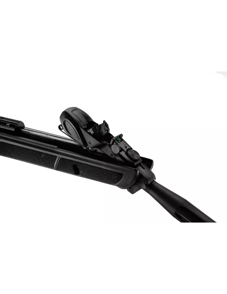CARABINE A PLOMB GAMO ROADSTER IGT 10x Gen2 19.9J