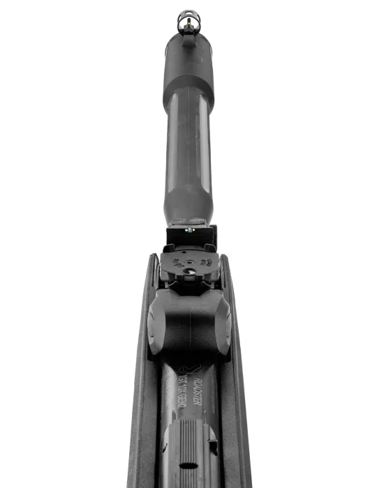 CARABINE A PLOMB GAMO ROADSTER IGT 10x Gen2 19.9J