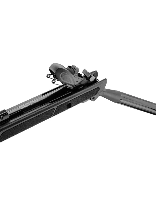 CARABINE A PLOMB GAMO ROADSTER IGT 10x Gen2 19.9J