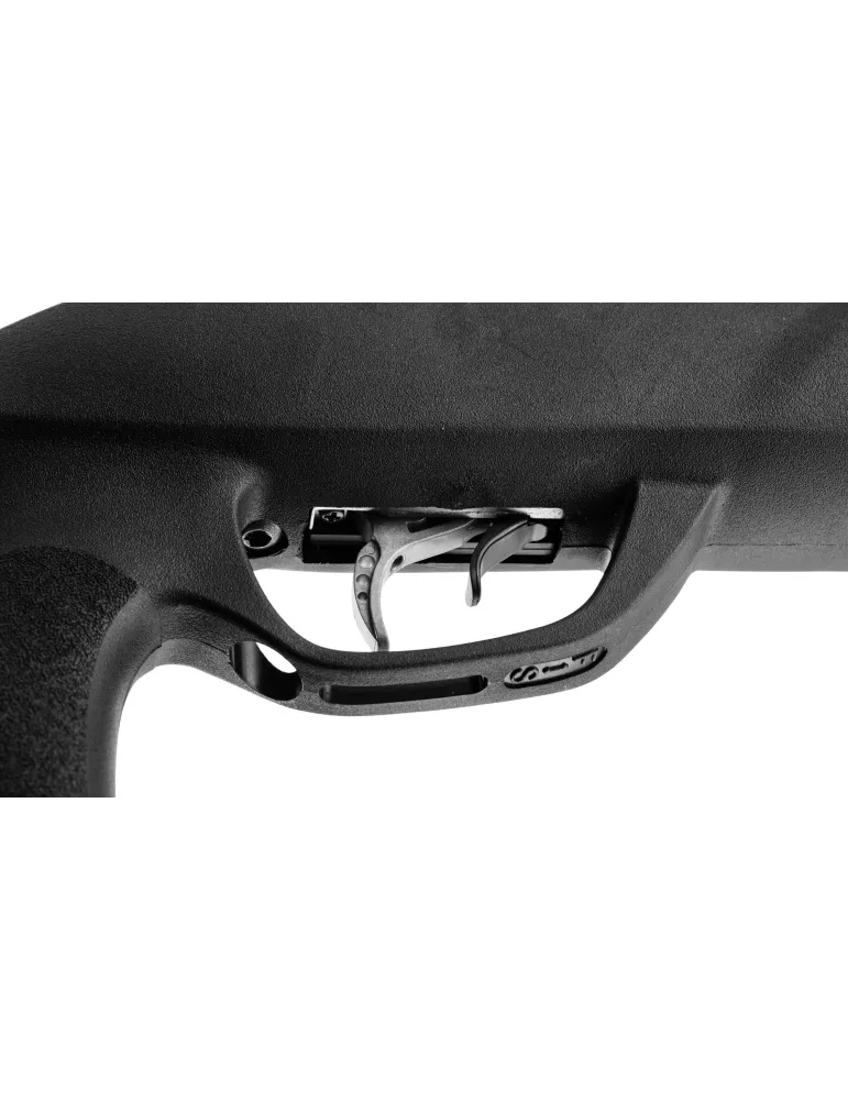 CARABINE A PLOMB GAMO ROADSTER IGT 10x Gen2 19.9J