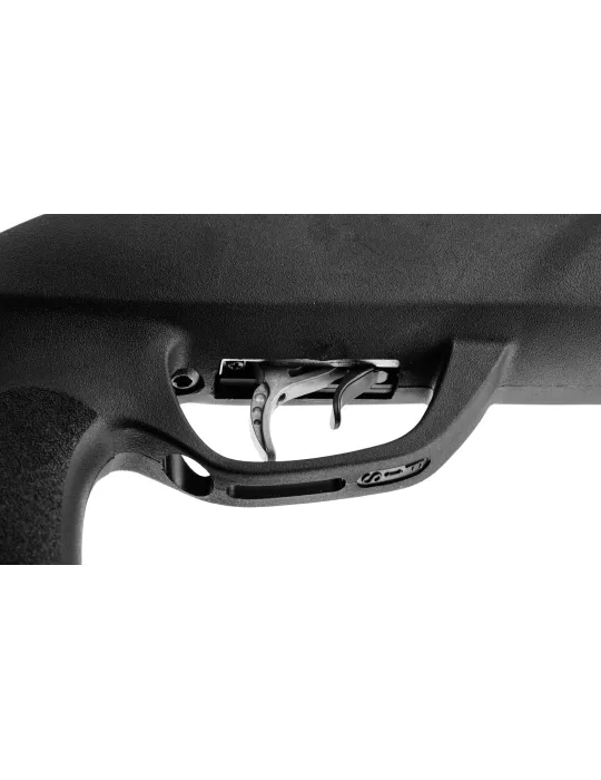 CARABINE A PLOMB GAMO ROADSTER IGT 10x Gen2 19.9J