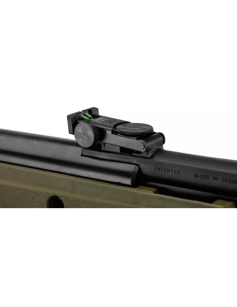 PACK CARABINE A PLOMB BIG CAT 1000E BARRICADE CAL/4.5 MM 19.9J GAMO + LUNETTE 4 x 32WR