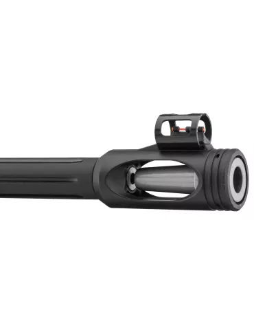 CARABINE A PLOMB GAMO HUNTER 440 AS CAL/4.5MM 19.9J + LUNETTE 3-9 x 40WR 2