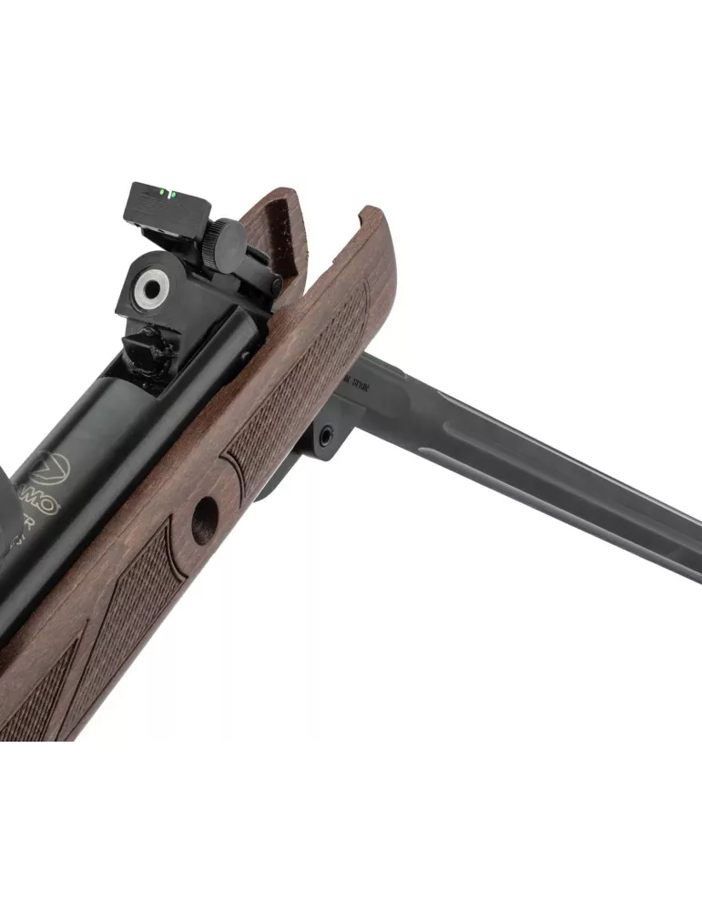 CARABINE A PLOMB GAMO HUNTER 440 AS CAL/4.5MM 19.9J + LUNETTE 3-9 x 40WR