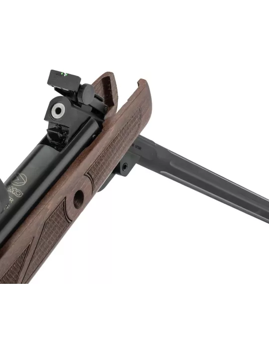 CARABINE A PLOMB GAMO HUNTER 440 AS CAL/4.5MM 19.9J + LUNETTE 3-9 x 40WR