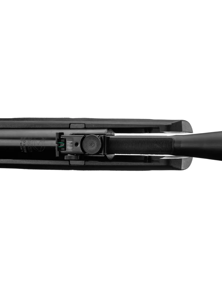 CARABINE A PLOMB GAMO BLACK FUSION IGT 29J CAL/4.5MM + LUNETTE 4X32WR