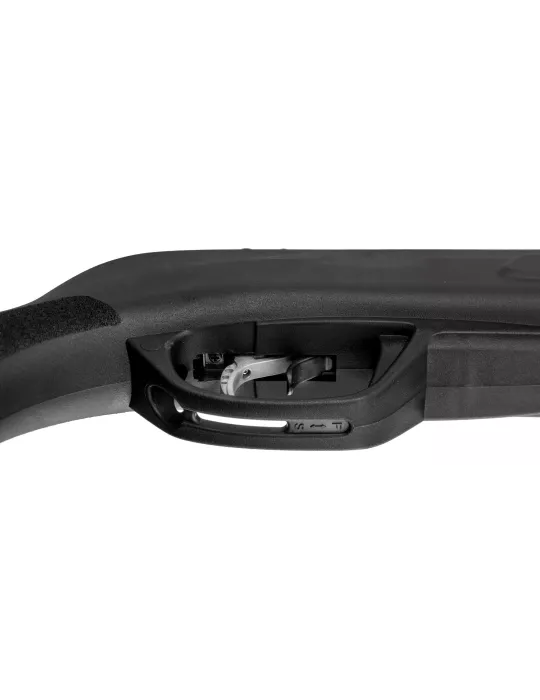 CARABINE A PLOMB GAMO BLACK FUSION IGT 29J CAL/4.5MM + LUNETTE 4X32WR