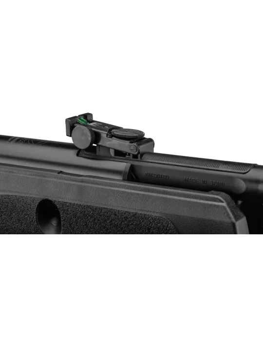 CARABINE A PLOMB GAMO BLACK FUSION IGT 29J CAL/4.5MM + LUNETTE 4X32WR