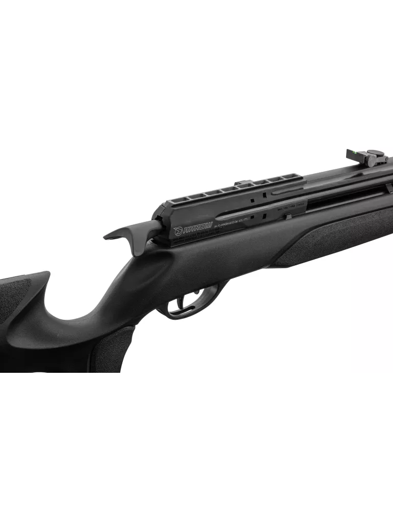 CARABINE PCP GAMO ARROW CAL/4.5MM 19.9J + LUNETTE 3-9x40WR