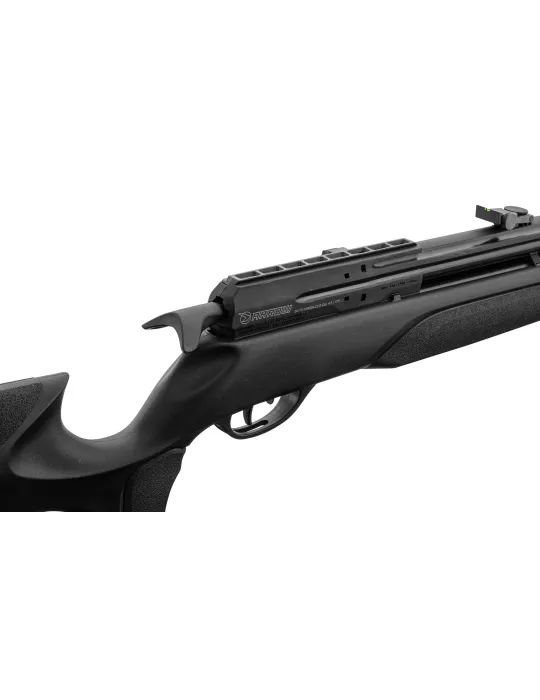 CARABINE PCP GAMO ARROW CAL/4.5MM 19.9J + LUNETTE 3-9x40WR