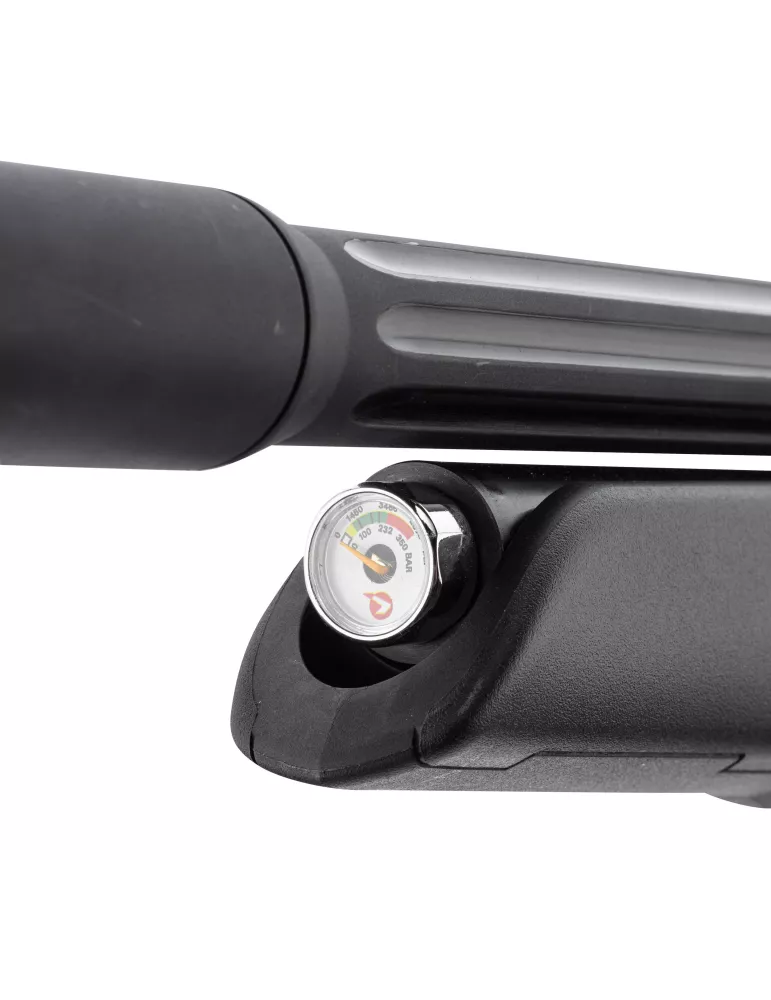 CARABINE PCP GAMO ARROW CAL/4.5MM 19.9J + LUNETTE 3-9x40WR