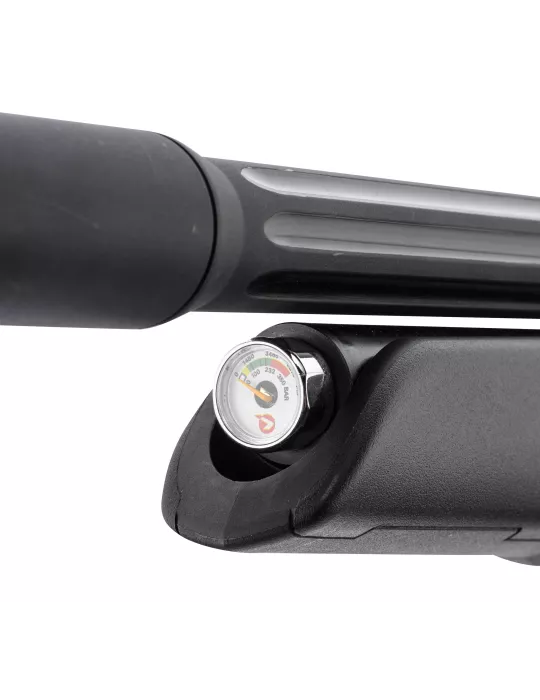 CARABINE PCP GAMO ARROW CAL/4.5MM 19.9J + LUNETTE 3-9x40WR