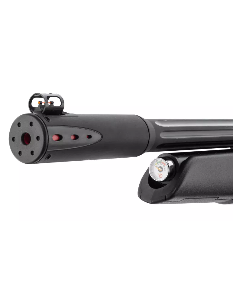 CARABINE PCP GAMO ARROW CAL/4.5MM 19.9J + LUNETTE 3-9x40WR