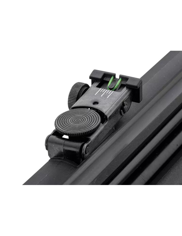 CARABINE PCP GAMO ARROW CAL/4.5MM 19.9J + LUNETTE 3-9x40WR