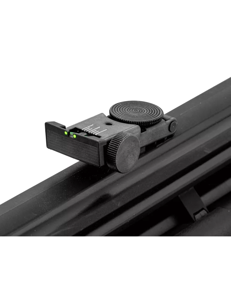 CARABINE PCP GAMO ARROW CAL/4.5MM 19.9J + LUNETTE 3-9x40WR