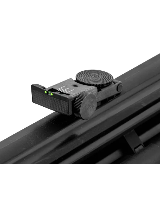 CARABINE PCP GAMO ARROW CAL/4.5MM 19.9J + LUNETTE 3-9x40WR