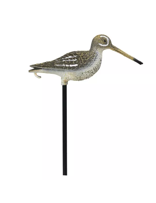 BLETTES LIMICOLES BECASSINE HD STEPLAND