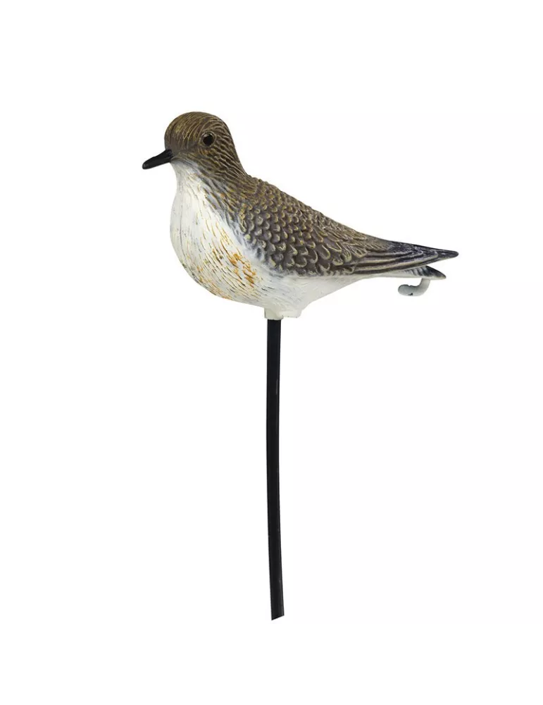 BLETTES LIMICOLES PLUVIER HD STEPLAND