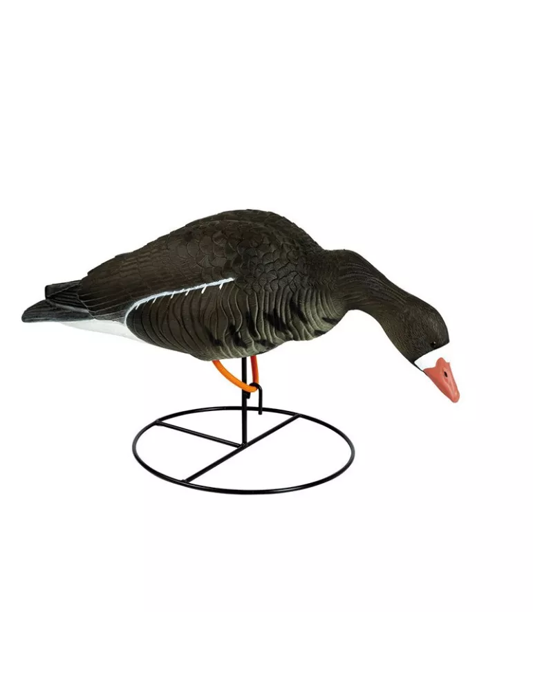 BLETTES OIE RIEUSE SUR PIED TETE PENCHEE HD STEPLAND