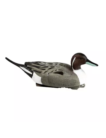 BLETTES PILET MÂLE OU FEMELLE HD STEPLAND