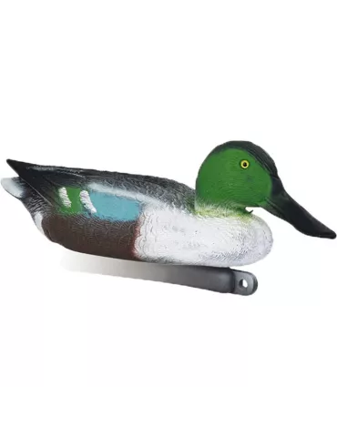 BLETTES SOUCHET MÂLE OU FEMELLE MOUSSEES STEPLAND