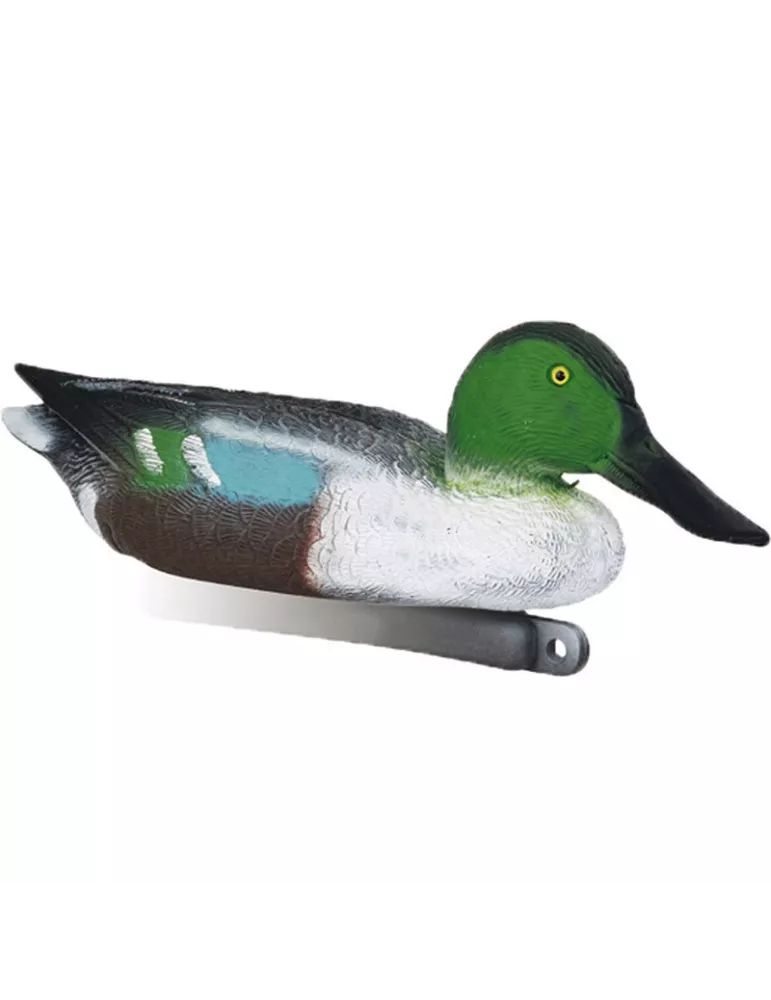 BLETTES SOUCHET MÂLE OU FEMELLE MOUSSEES STEPLAND