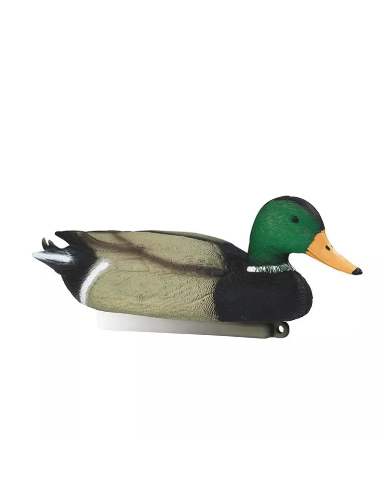 BLETTES COLVERT MÂLE OU FEMELLE MOUSSEES STEPLAND