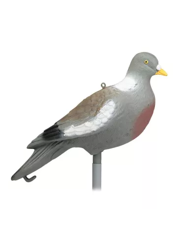 FORMES PIGEON SANS PATTE STEPLAND