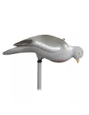 FORMES PIGEON PICOREUR SANS PATTE STEPLAND