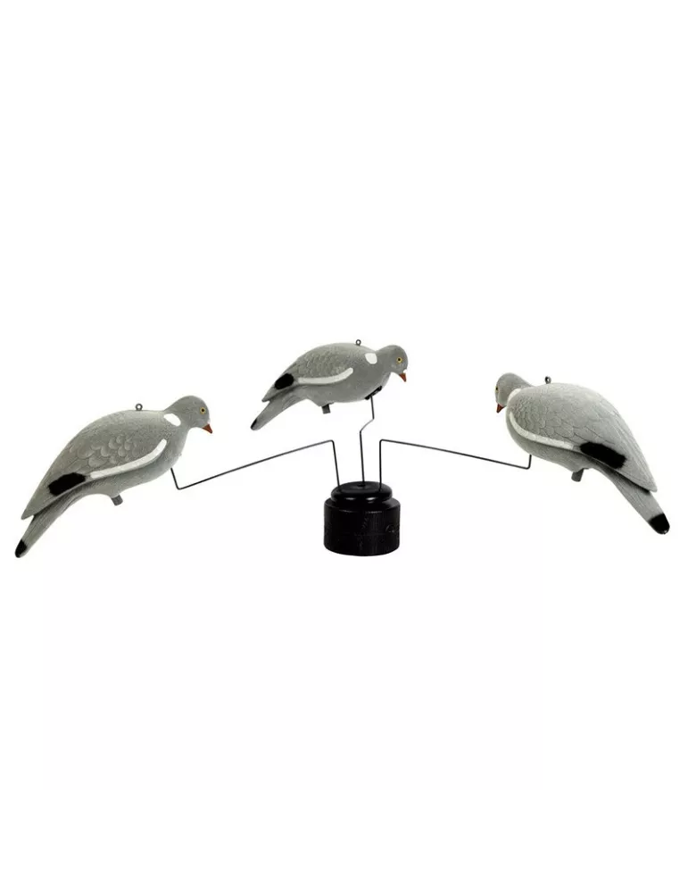 MANEGE A PIGEON STEPLAND