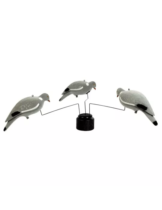 MANEGE A PIGEON STEPLAND