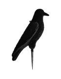 FORMES GRAND CORBEAUX SUR PIQUE FLOQUES STEPLAND