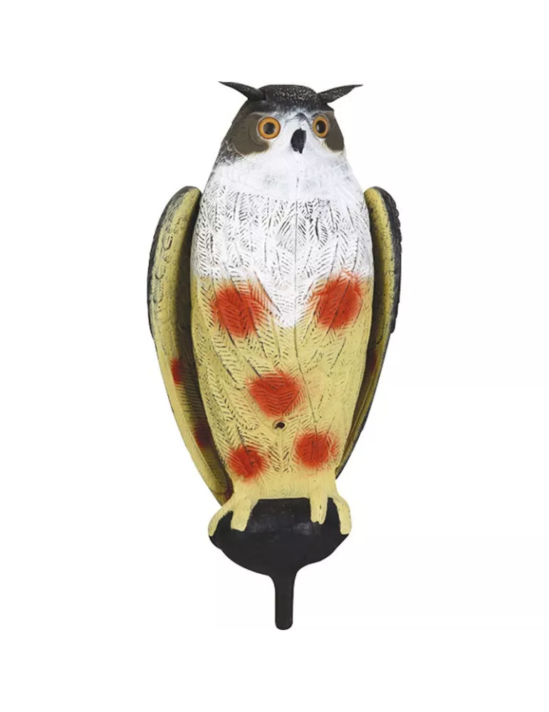 EFFAROUCHEUR GRAND DUC AILES BATTANTES STEPLAND