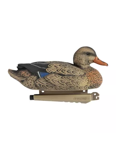 BLETTES COLVERT MÂLE OU FEMELLE ULTRA HD MOUSSEES STEPLAND