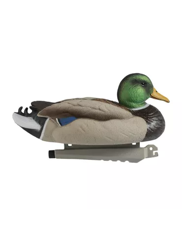 BLETTES COLVERT MÂLE OU FEMELLE ULTRA HD MOUSSEES STEPLAND 2