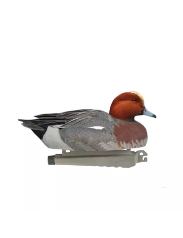 BLETTES SIFFLEUR MÂLE OU FEMELLE ULTRA HD MOUSSEES STEPLAND