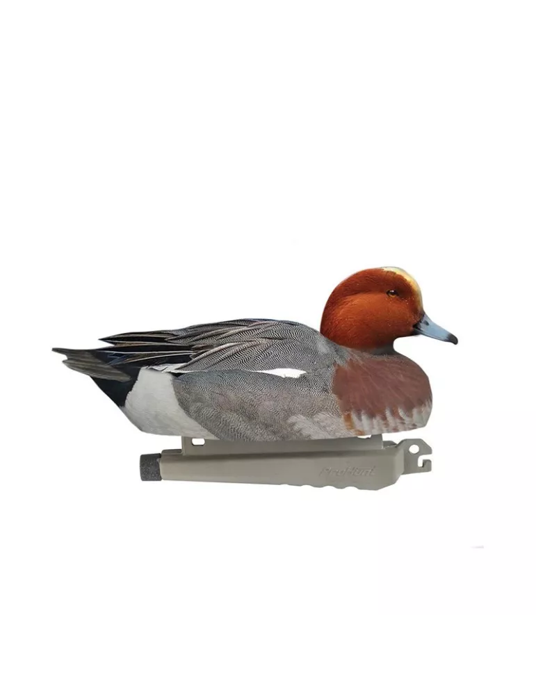 BLETTES SIFFLEUR MÂLE OU FEMELLE ULTRA HD MOUSSEES STEPLAND