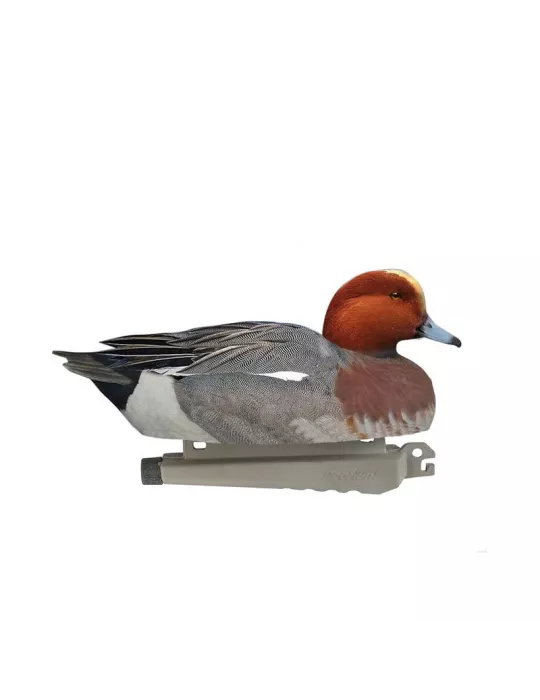 BLETTES SIFFLEUR MÂLE OU FEMELLE ULTRA HD MOUSSEES STEPLAND