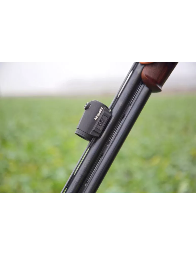 POINT ROUGE AIMPOINT AP MICRO S-1 6MOA