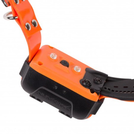 KIT COLLIER NUM'AXES CANICOM 15M (REPERAGE + DRESSAGE)