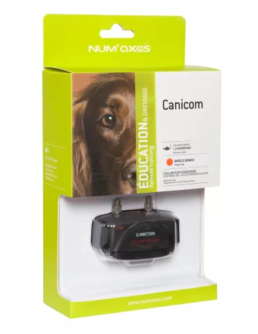 COLLIER D'EDUCATION SEUL CANICOM NUM'AXES ORANGE 2