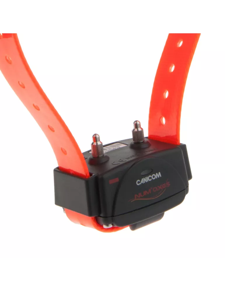 COLLIER D'EDUCATION SEUL CANICOM NUM'AXES ORANGE