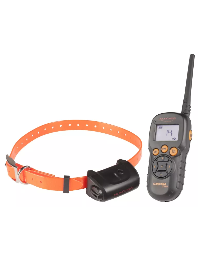 KIT COLLIER D'EDUCATION CANICOM 5.800 NUM'AXES 800M