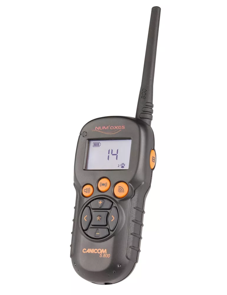 KIT COLLIER D'EDUCATION CANICOM 5.800 NUM'AXES 800M