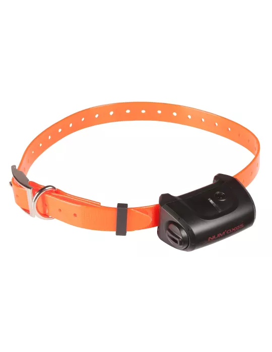 KIT COLLIER D'EDUCATION CANICOM 5.800 NUM'AXES 800M