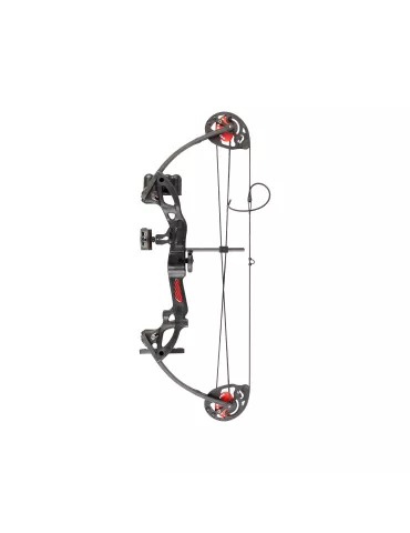 ARC A POULIES NXG ROBIN EXPERT SET DROITIER 2