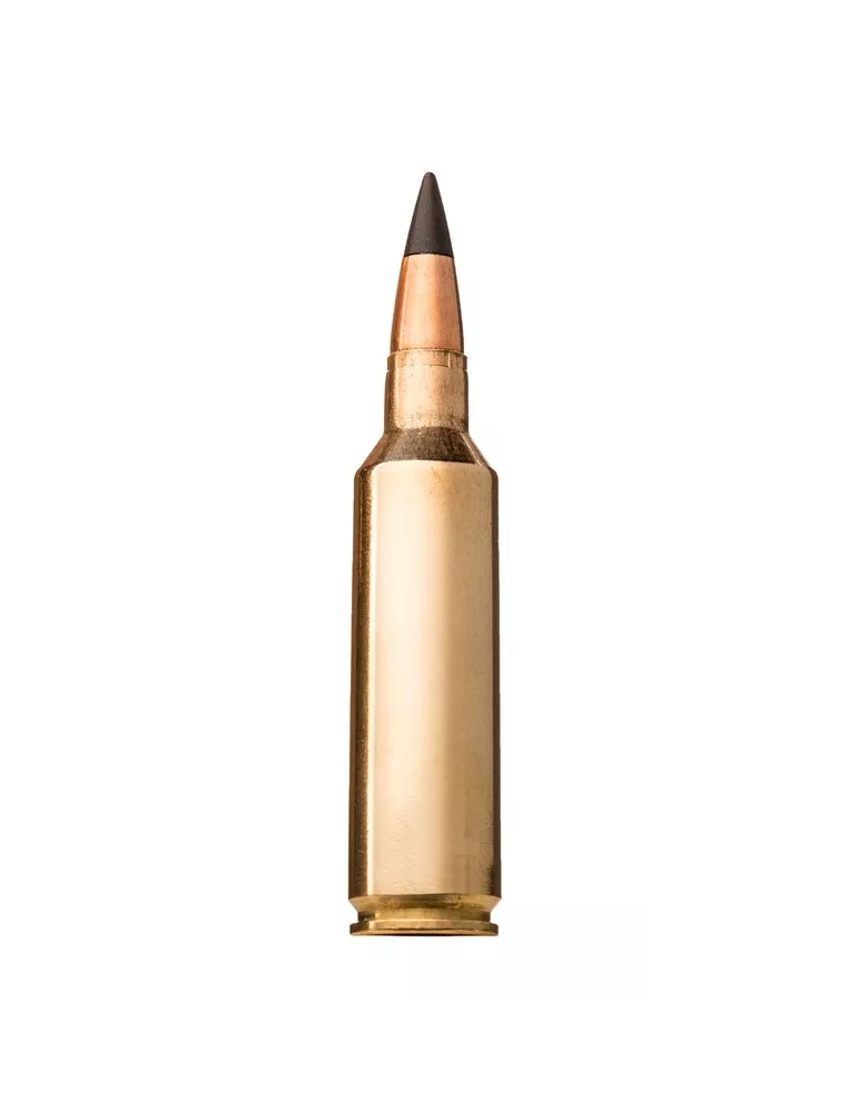 BALLES WINCHESTER SUPER-X WILD BOAR EXTREME POINT CAL243 WIN 95 GRAINS