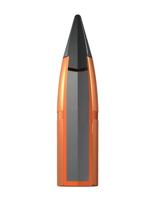 BALLES WINCHESTER WILD BOAR EXTREME POINT CAL30-06 SPRG 180 GRAINS